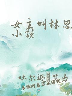 女主叫林思望的小说