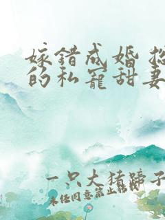 嫁错成婚 总裁的私宠甜妻