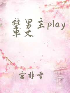 双男主play车文