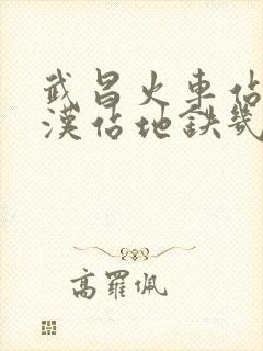 武昌火车站到武汉站地铁几号线