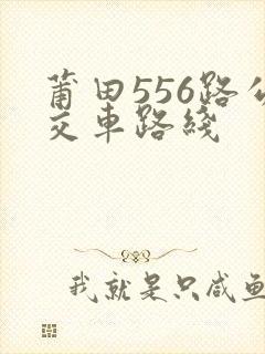 莆田556路公交车路线