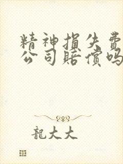 精神损失费保险公司赔偿吗 精神损失费保险公司赔偿吗