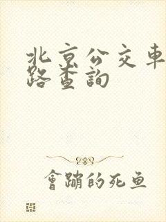 北京公交车站线路查询