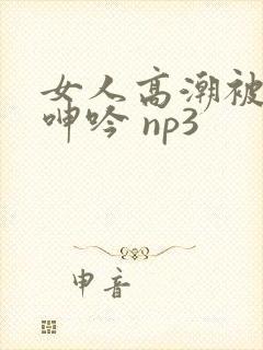 女人高潮被爽到呻吟 np3