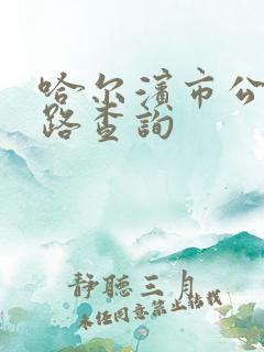 哈尔滨市公交线路查询