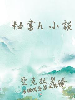 秘书h 小说