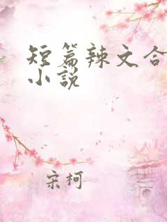 短篇辣文合集的小说