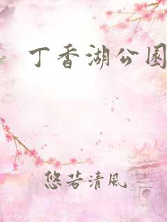 丁香湖公园门票