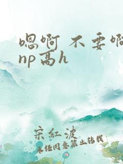 嗯啊 不要啊 np高h