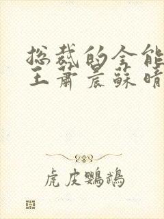 总裁的全能型兵王萧晨苏晴