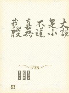 我真不是大反派殷无道小说在线阅读