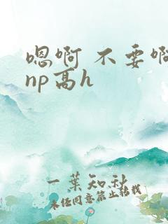 嗯啊 不要啊 np高h