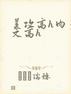 美攻高h肉多荤文高h