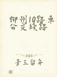 柳州10路车的公交线路