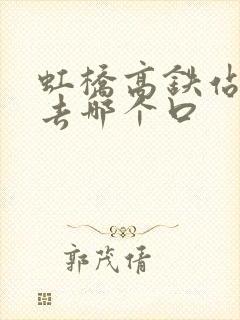 虹桥高铁站接人去哪个口
