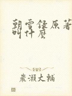 朝雪录原著小说叫什么
