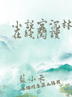 小说宫沉林知意在线阅读