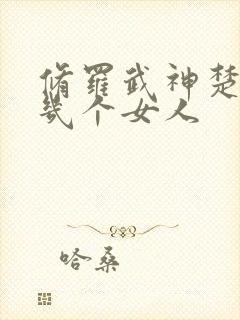 修罗武神楚枫有几个女人