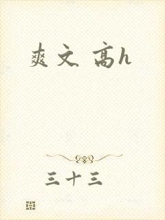 爽文 高h