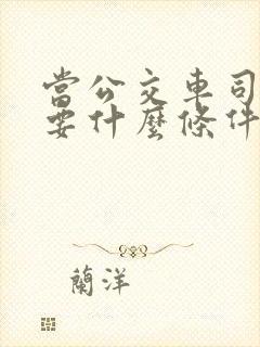 当公交车司机需要什么条件