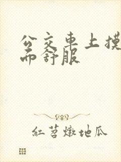 公交车上摸我下面舒服
