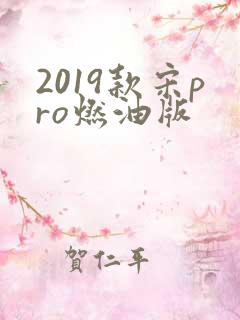 2019款宋pro燃油版