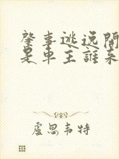 肇事逃逸开车不是车主谁来赔偿