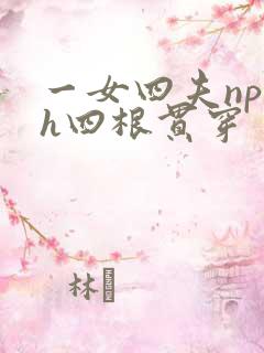 一女四夫np高h四根贯穿