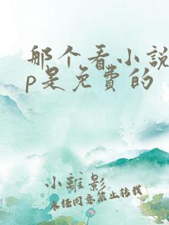 那个看小说app是免费的