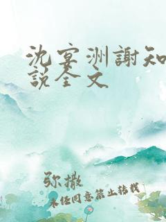 沈宴洲谢知意小说全文