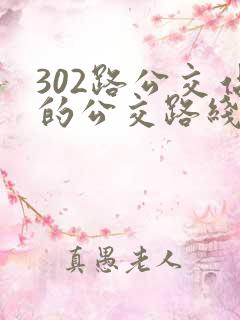 302路公交站的公交路线