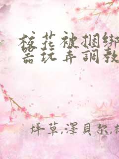 校花被捆绑用性器玩弄调教