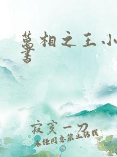 万相之王小说听书