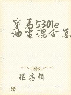 宝马530le油电混合怎么样