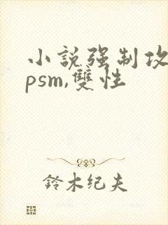 小说强制攻,spsm,双性
