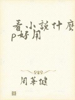 看小说什么app好用
