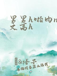 男男h啪肉np文高h