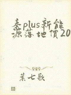 秦plus新能源落地价2022款