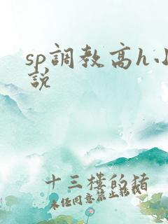 sp调教高h小说
