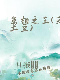 万相之王(天蚕土豆)