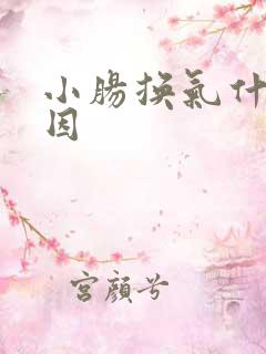 小肠换气什么原因