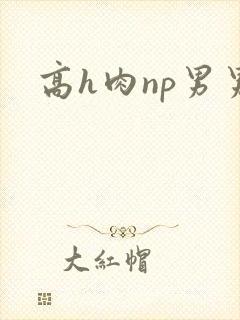 高h肉np男男 高h肉np男男