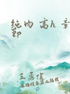 纯肉 高h 章节