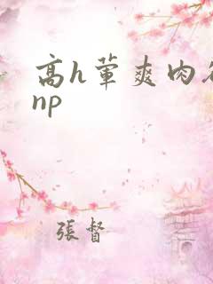 高h荤爽肉欲文np