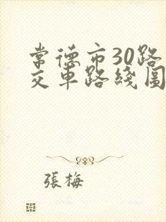 常德市30路公交车路线图