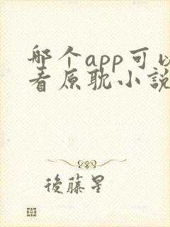 哪个app可以看原耽小说 哪个app可以看原耽小说