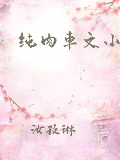 纯肉车文小说