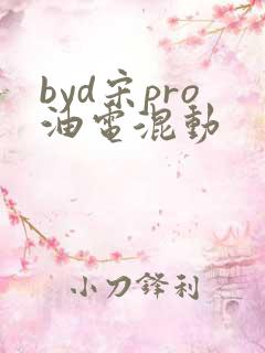 byd宋pro油电混动