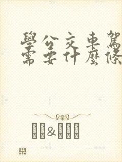 学公交车驾驶证需要什么条件