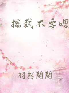 总裁不要嗯嗯嗯